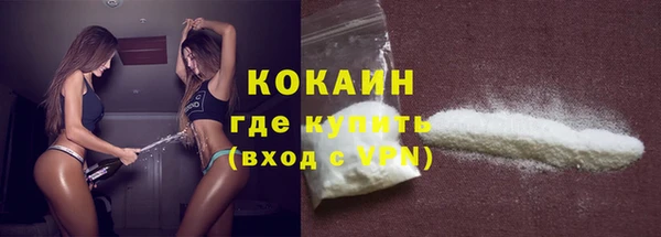 индика Абаза