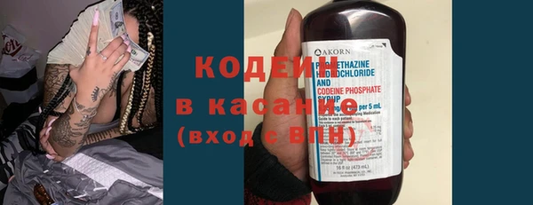 индика Абаза