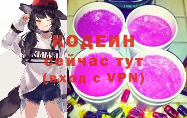 индика Абаза
