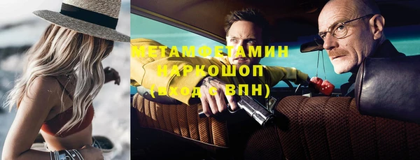 индика Абаза